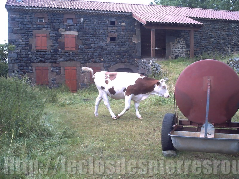 Le clos des pierres rouges Auvergne