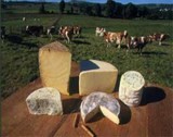 Fromages d'auvergne